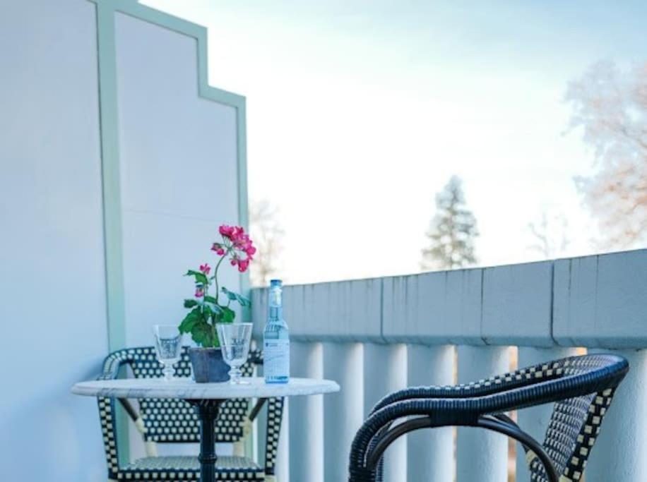 Le Joyau Des Parcs Classe 4 Etoiles Appartement Central Au Calme Avec Terrasse 维琪 外观 照片