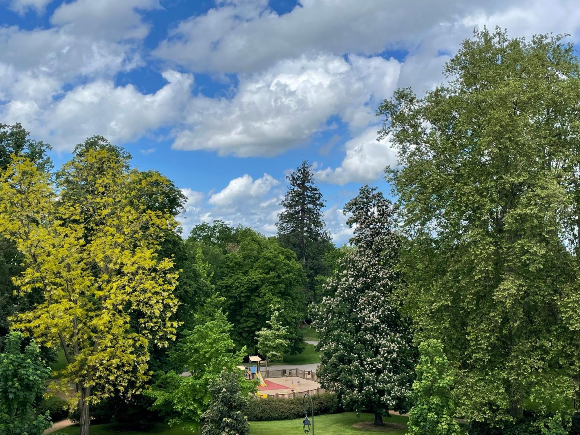Le Joyau Des Parcs Classe 4 Etoiles Appartement Central Au Calme Avec Terrasse 维琪 外观 照片